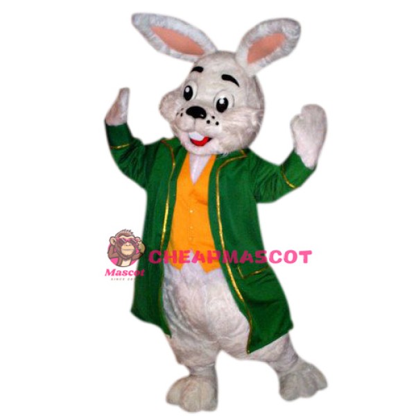 Super Cute Boy Easter Bunny Mascot Costume