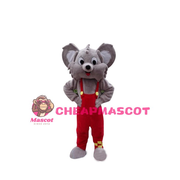Koala Mascot Cartoon Apparel Birthday Party Christmas Halloween Mascot Costume