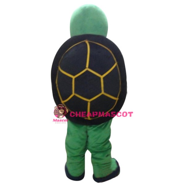 Hot Sale Turtle Mascot Costumes Tortoise Mascot