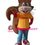Cartoon Squirrel Mascot Costumes