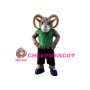 Sport Ram Mascot Costume with Green T shirt