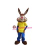 School Bunny Mascot Costume