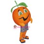 Orange Mascot Costume