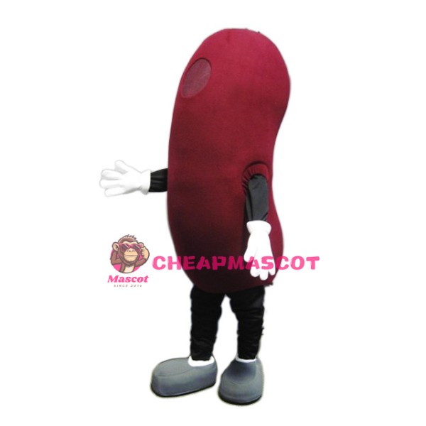 Kidney Mascot Costume