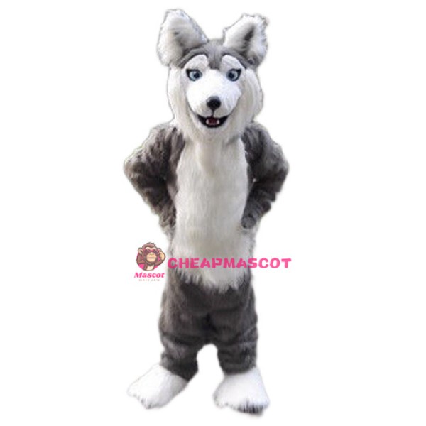 Gray Husky Dog Mascot Costume