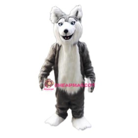 Gray Husky Dog Mascot Costume