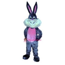 Happy Lightweight Bunny Rabbit Mascot Costume