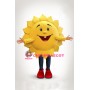 Sunflower Mascot Costume