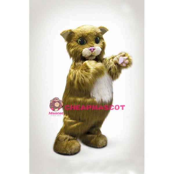 Cat Mascot Costume