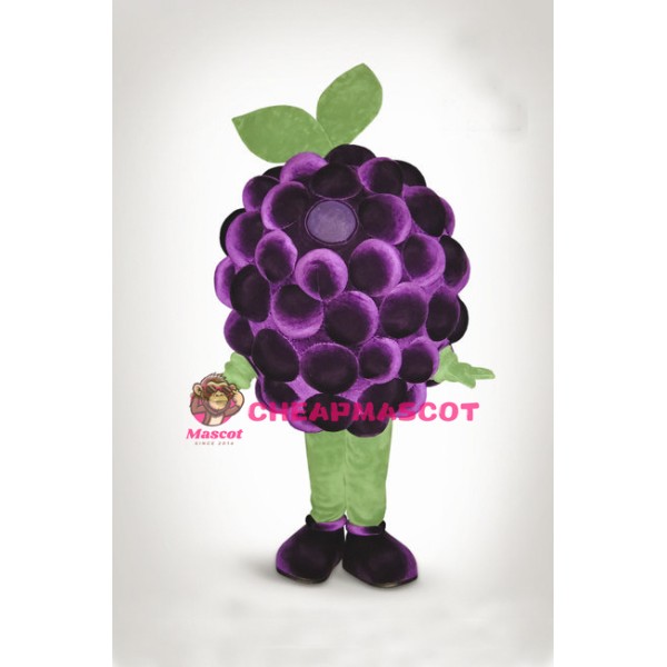 Grape Mascot Costume