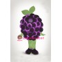 Grape Mascot Costume