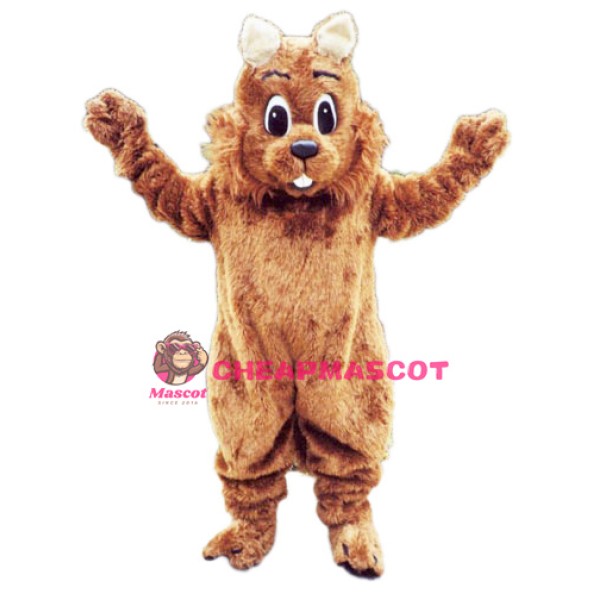 Squirrel Mascot Costume