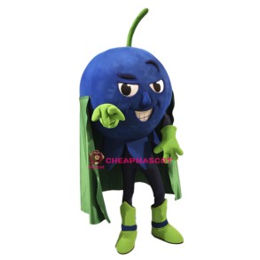 Blueberry Mascot Costume