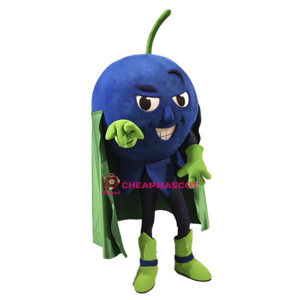 Blueberry Mascot Costume