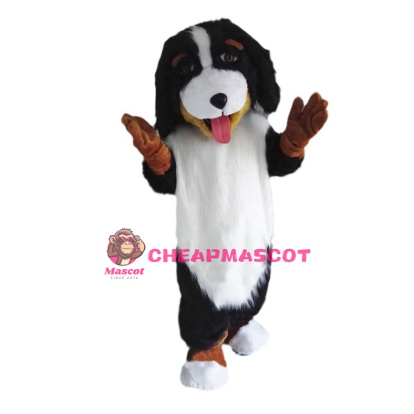 Bernese Mountain Dog Mascot Costume