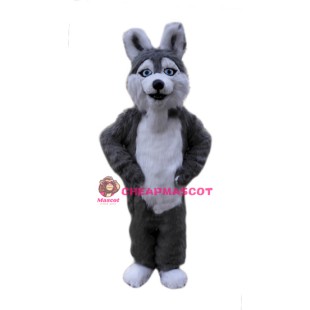 Grey Plush Husky Dog Mascot Costume