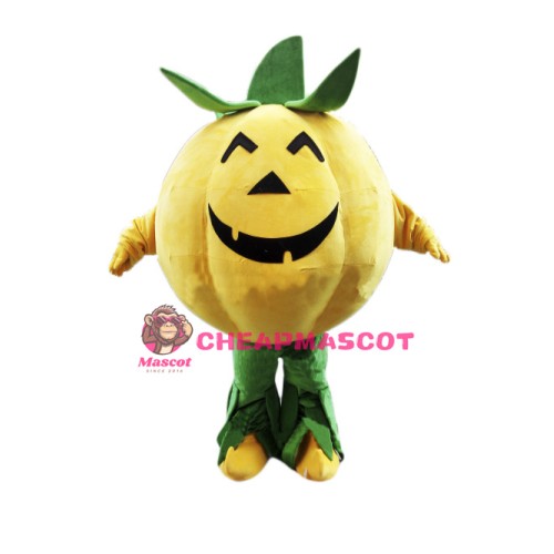 Halloween Pumpkin Mascot Costume