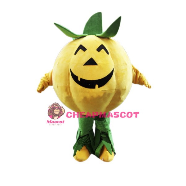 Halloween Pumpkin Mascot Costume