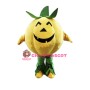 Halloween Pumpkin Mascot Costume