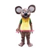 Happy Lightweight Koala Mascot Costume