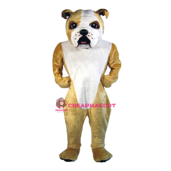 Cute Lightweight Bulldog Mascot Costume