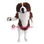 Spaniel Dog Mascot Costume