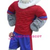 Wolf Mascot Costume