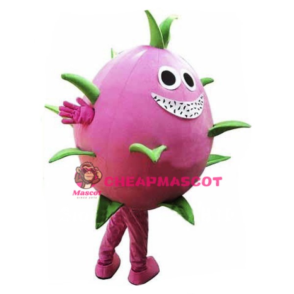 Dragon Fruit Mascot Costume
