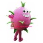 Dragon Fruit Mascot Costume