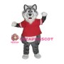 Lovely Grey Wolf  Mascot Costume