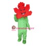 Maple Leaf Mascot Costume