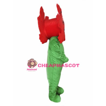 Maple Leaf Mascot Costume