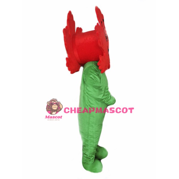 Maple Leaf Mascot Costume