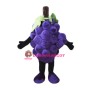 Purple Grape Mascot Costume