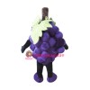 Purple Grape Mascot Costume