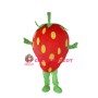 Strawberry Mascot Costume