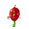 Strawberry Mascot Costume