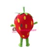 Strawberry Mascot Costume
