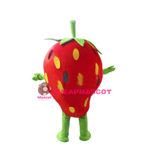 Strawberry Mascot Costume