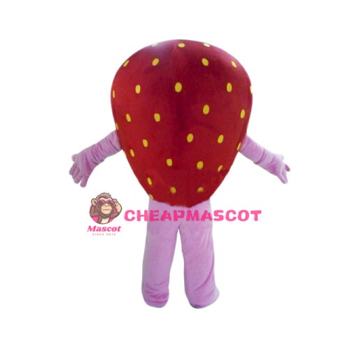 Happy Strawberry Girl Mascot Costume