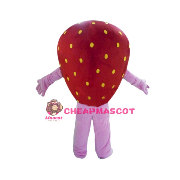 Happy Strawberry Girl Mascot Costume