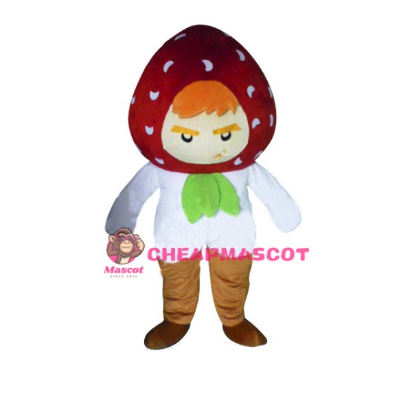 Strawberry Boy Mascot Costume