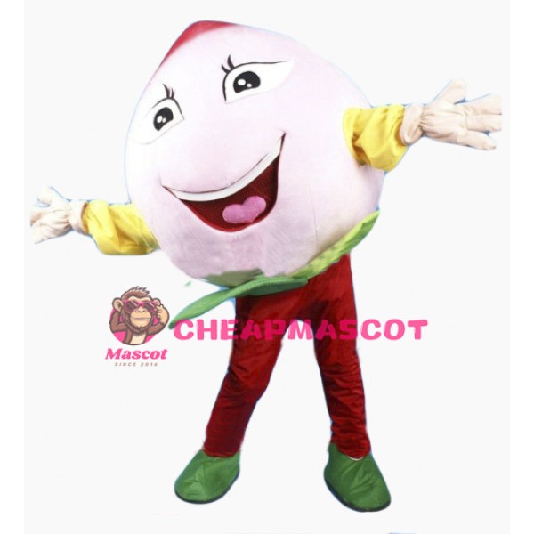 Pink Peach Mascot Costume