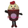 Girl Ice Cream Mascot Costume