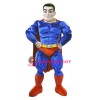 Power Super Hero Mascot Costume