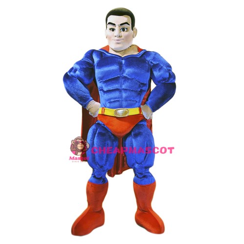 Power Super Hero Mascot Costume