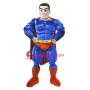 Power Super Hero Mascot Costume