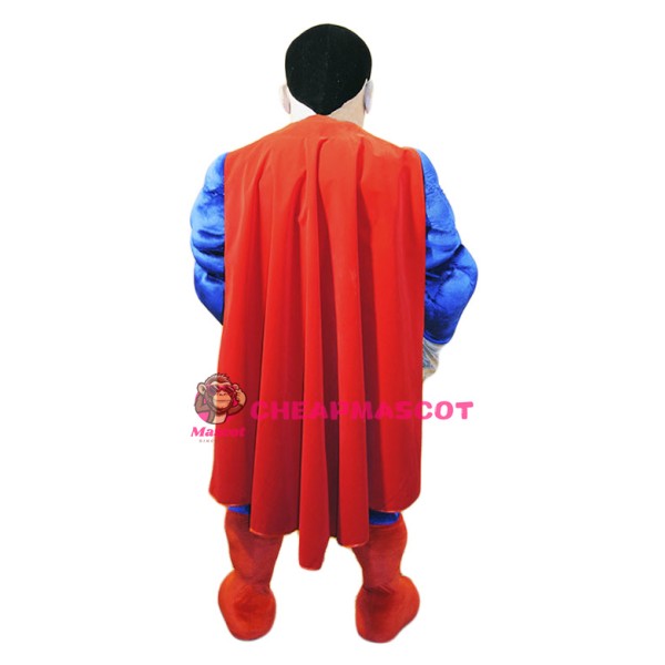 Power Super Hero Mascot Costume