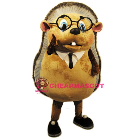 Cute Lightweight Hedgehog Mascot Costume