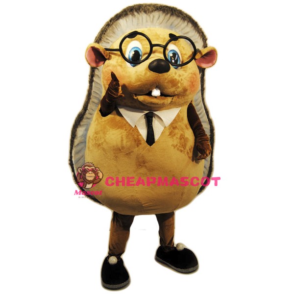 Cute Lightweight Hedgehog Mascot Costume